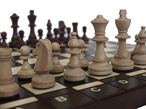 ChessEbook Juego de ajedrez, 41,5 x 41,5 cm