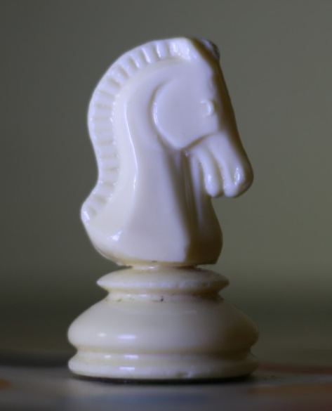 caballo de ajedrez